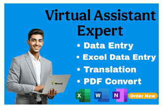 be your virtual assistant for data entry, translation, PDF convertion