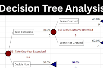 perform decision tree analysis, precision tree, silver decisions