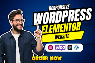 do a free consultation to build or redesign a wordpress website