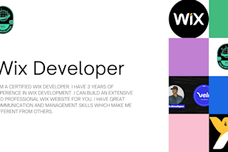build a professional wix velo website , velo code fix as a wix developer