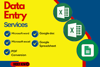 do data entry, excel, word, google docs and budget spreadsheet