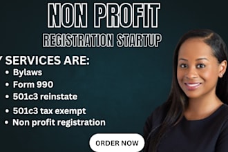 setup nonprofit llc registration, bylaws, ein reinstate 501c3, form 990 1023ez