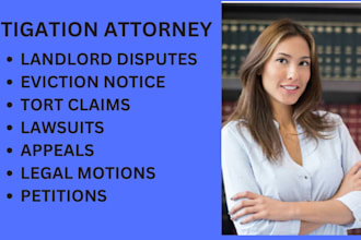 be your civil litigation attorney and help you with pro se litigation