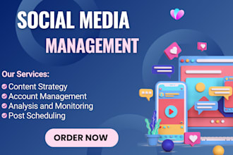 be your dedicated expert in social media marketing and content creation