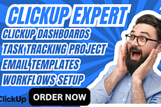 set up clickup dashboards templates,workflow, task tracking, project managements
