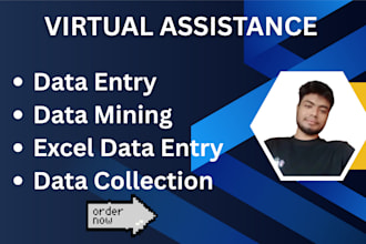 do accurate data entry, data mining and excel data entry job