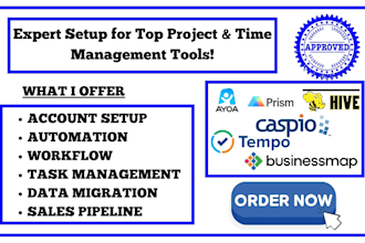 set up and optimize prism ppm, caspio, tempo timesheets, businessmap, ayoa, hive