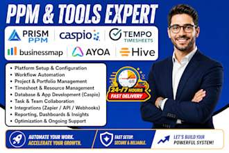 set up and optimize prism ppm, caspio, tempo timesheet, businessmap, ayoa, hive