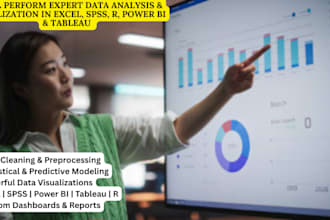 perform expert data analysis in excel, spss, r, power bi and tableau