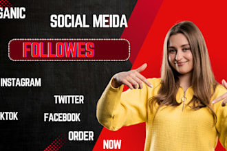 organically manage, increase all social media account followers