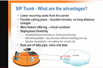 do auto dialer, sip trunk,caller id, spoof api  did number,sip routes, 3cx, otp
