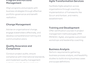 elevate your business through expert pmo and strategy consulting