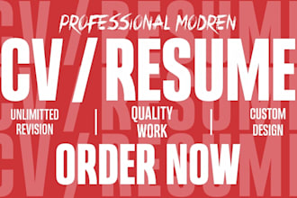create professional infographic CV, resume, and portfolio design