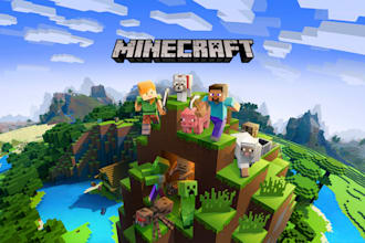 code some plugins or simply help your setting up a server of minecraft