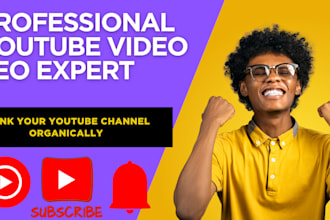 youtube video SEO  rank higher and get more views organically