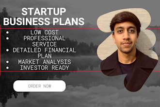 professionally write business plans for your startup