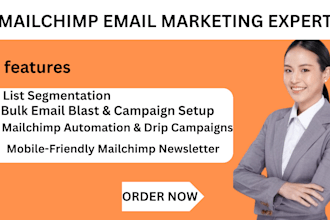 do mailchimp template mailchimp newsletter  mailchimp bulk email blast design