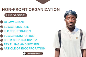 do US llc company registration, nonprofit startups 501c3