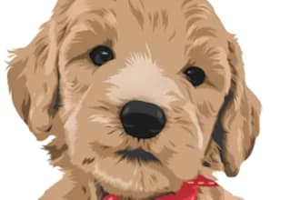 do your cat, dog, or any pet into cartoon vector portrait