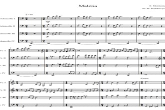 do for you music arrangments, transcriptions