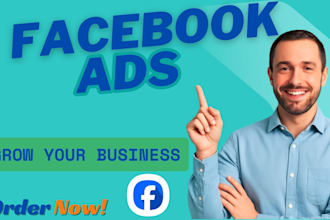 run facebook paid ads with expert targeting and optimization