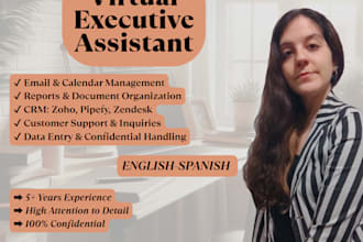be your executive virtual assistant for admin and data tasks