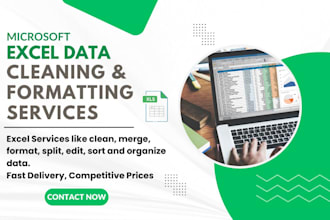 clean, format, merge, split, make pivot table and analyse excel data