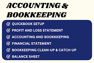 do setup, cleanup, catchup, accounting and bookkeeping using quickbooks online