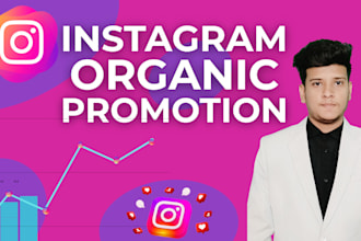 provide super fast organic instagram growth and promotion