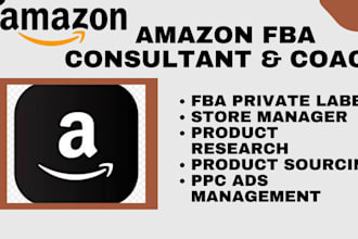 be your professional 6 figure amazon fba mentor coach amazon business consultant