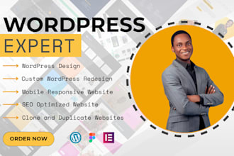design redesign clone revamp duplicate wordpress website as elementor pro expert