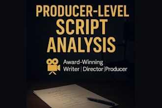 provide producer level screenplay analysis from an award winning filmmaker