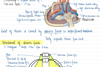 provide my handwritten anatomy notes and tutorials