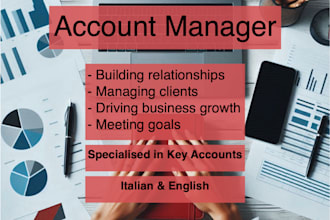be your strategic key account manager for client success