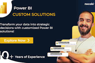 give you power bi consultation