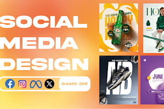 diseñaré anuncios y publicaciones creativas para facebook e instagram