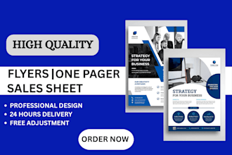 a professional flyer, sales sheet, ekp, press kit, one sheet