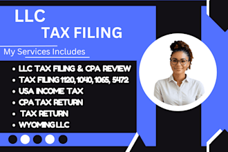 file llc taxes, 1120, 1040, 5472, 1065, usa tax return, cpa tax return
