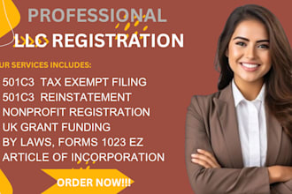 provide nonprofit registration UK canada US reinstatement, grant assistance