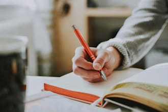 write an article, review, or blog post for you