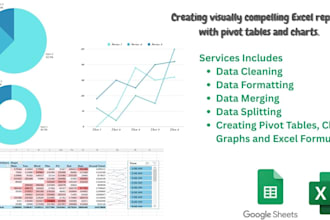 clean, format, merge, split , pivot table, graphs excel data