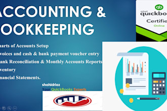 do accounting, finance, financial analysis reports and excel project