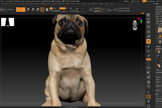 make 3d animal model 3d animal animation dinosaur model lion 3d animal rigging