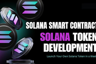 be your solana contract audi tor, solana contract audit, update token meta data