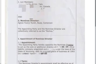 be your nominee director in cameroon zero tax