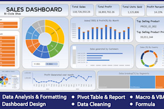 excel data cleaning analysis formatting graphs dashboard pivot table macro vba