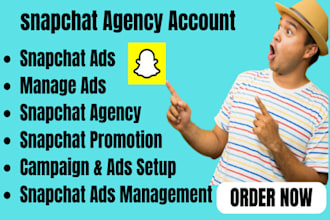 run an approved snapchat agency account show portal ads account account creation