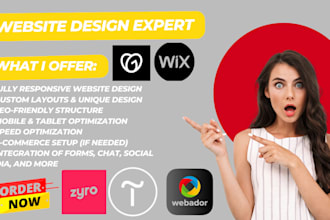 design and redesign zyro wix tilda webador goddady ionos website development