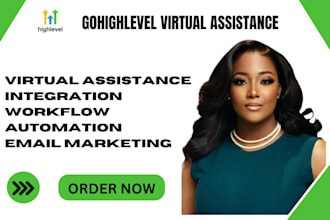 build gohighlevel salesfunnel, VA gohighlevel landingpage ghl website expert VA