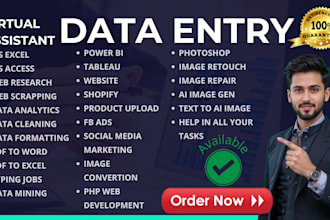 do VA any data entry task email extraction web scraping pdf convertion